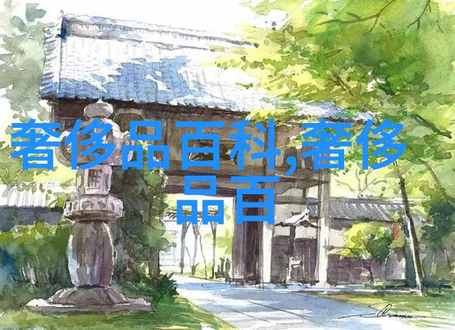 数字的守护者探索455的神秘背面