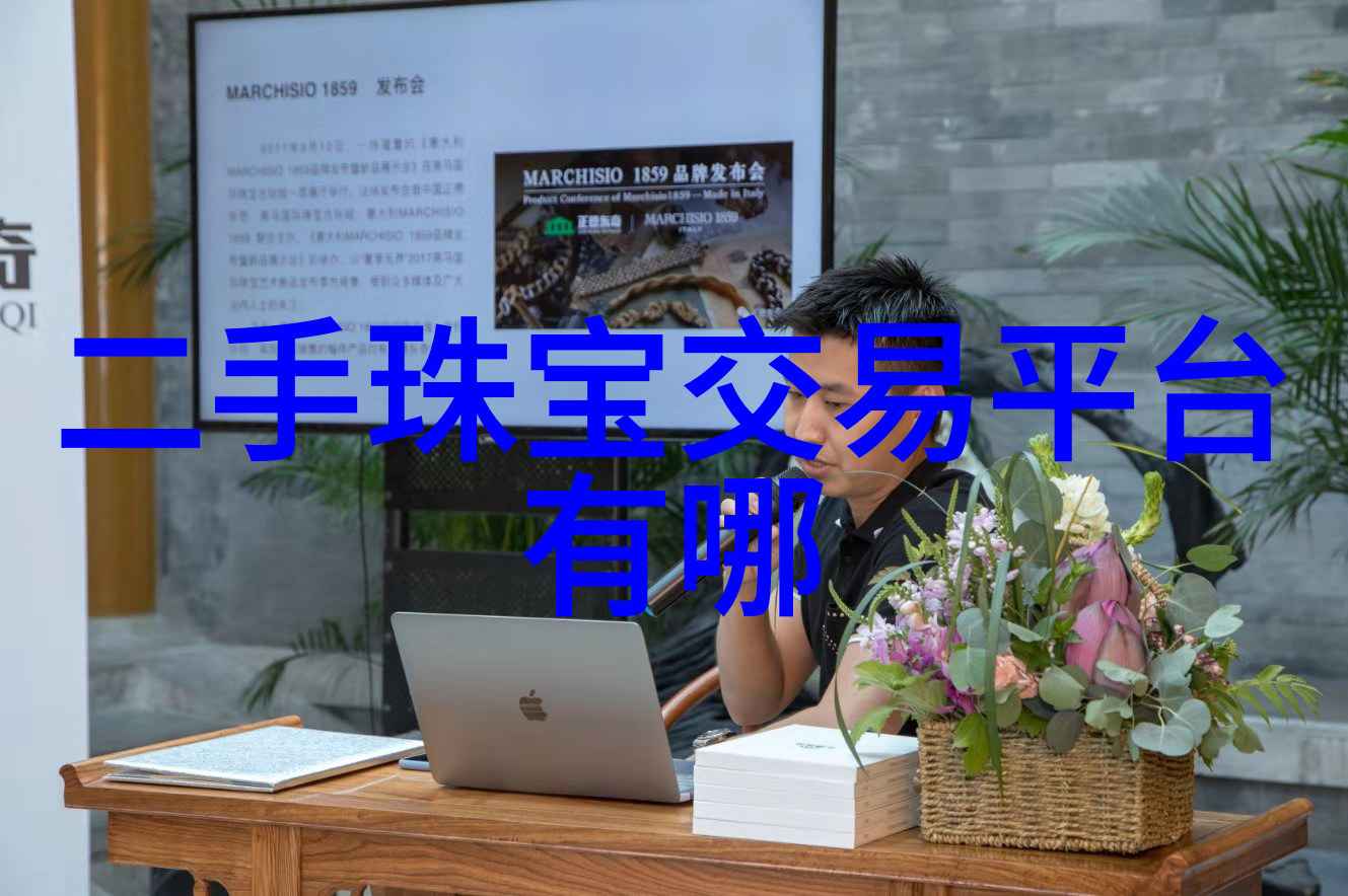 智能终端与宽带网络融合 IPv6 3G创新应用实例分析