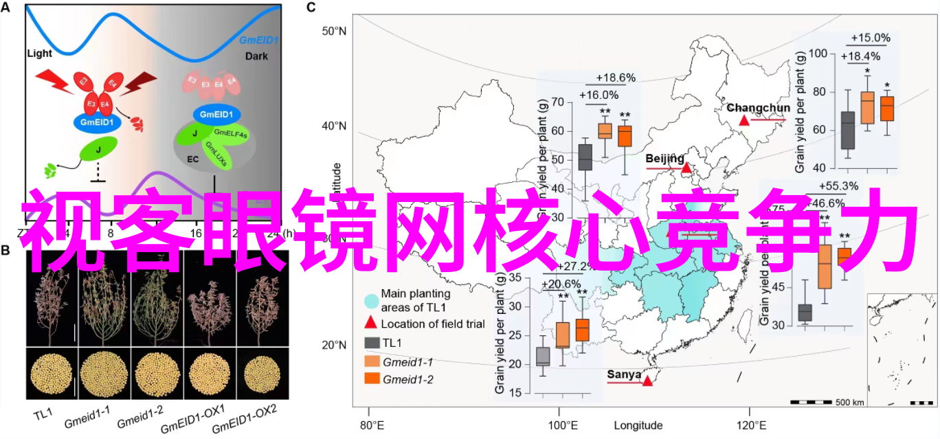 男士衣服搭配技巧怎样选择适合自己的色彩调和