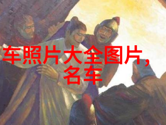 乡村风情下的男神魅力田野中的时尚探索者