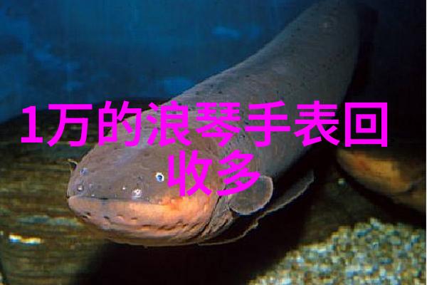 时尚女孩的短发魅力简约风格下的美学探索