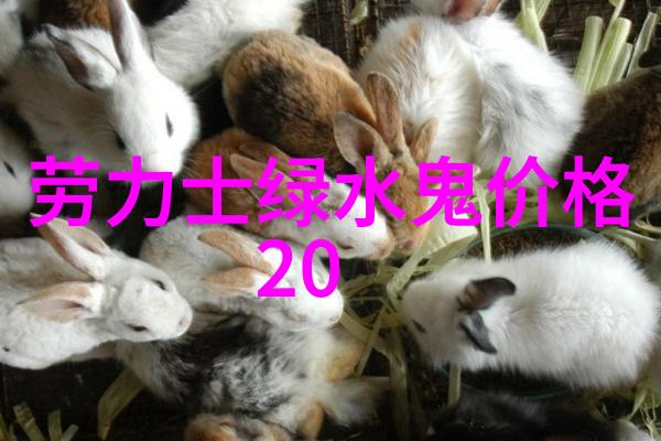 时光倒流之猫咪转世