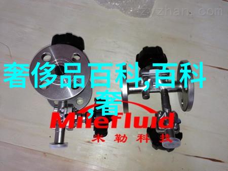 张健从草根到高手的励志之旅