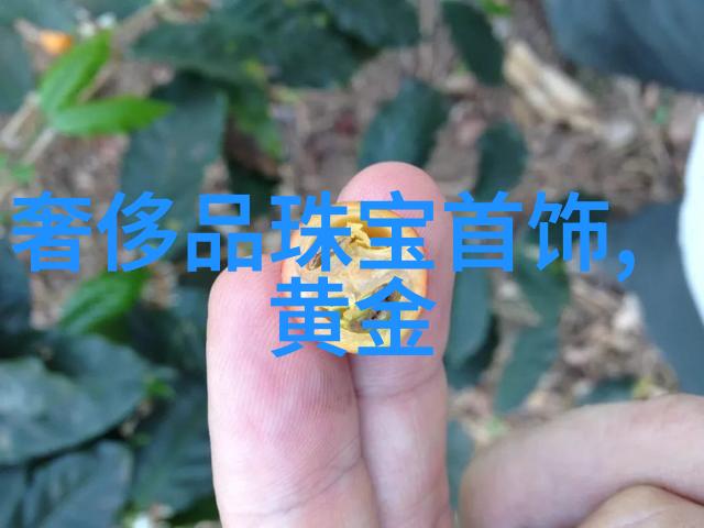 服装道具与文化交流它们在国际舞台上的作用有哪些