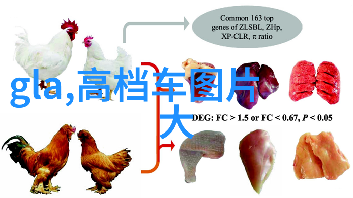 如饥似渴的LA.VORACE
