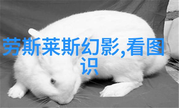 炖汤之王从平凡的厨房到异世界的火炉