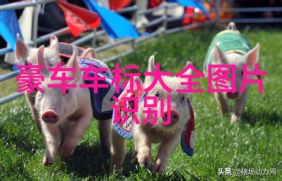 10款创意又省力的居家小物颜值还高