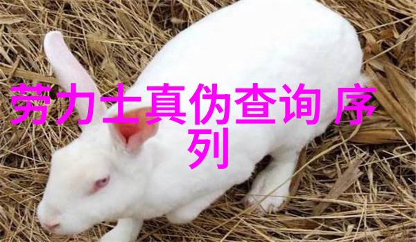冬暖时 - 绽放的温暖冬季里的暖意与诗意