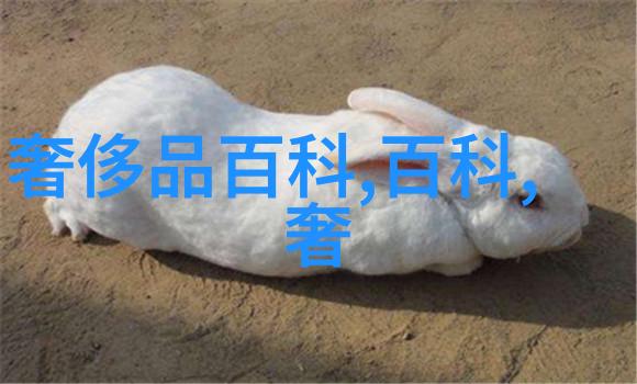 施华洛世奇闪耀125年光芒2020秋季系列在大自然的背景下以独特匠心之作回收黄金首饰展现其价值与时尚