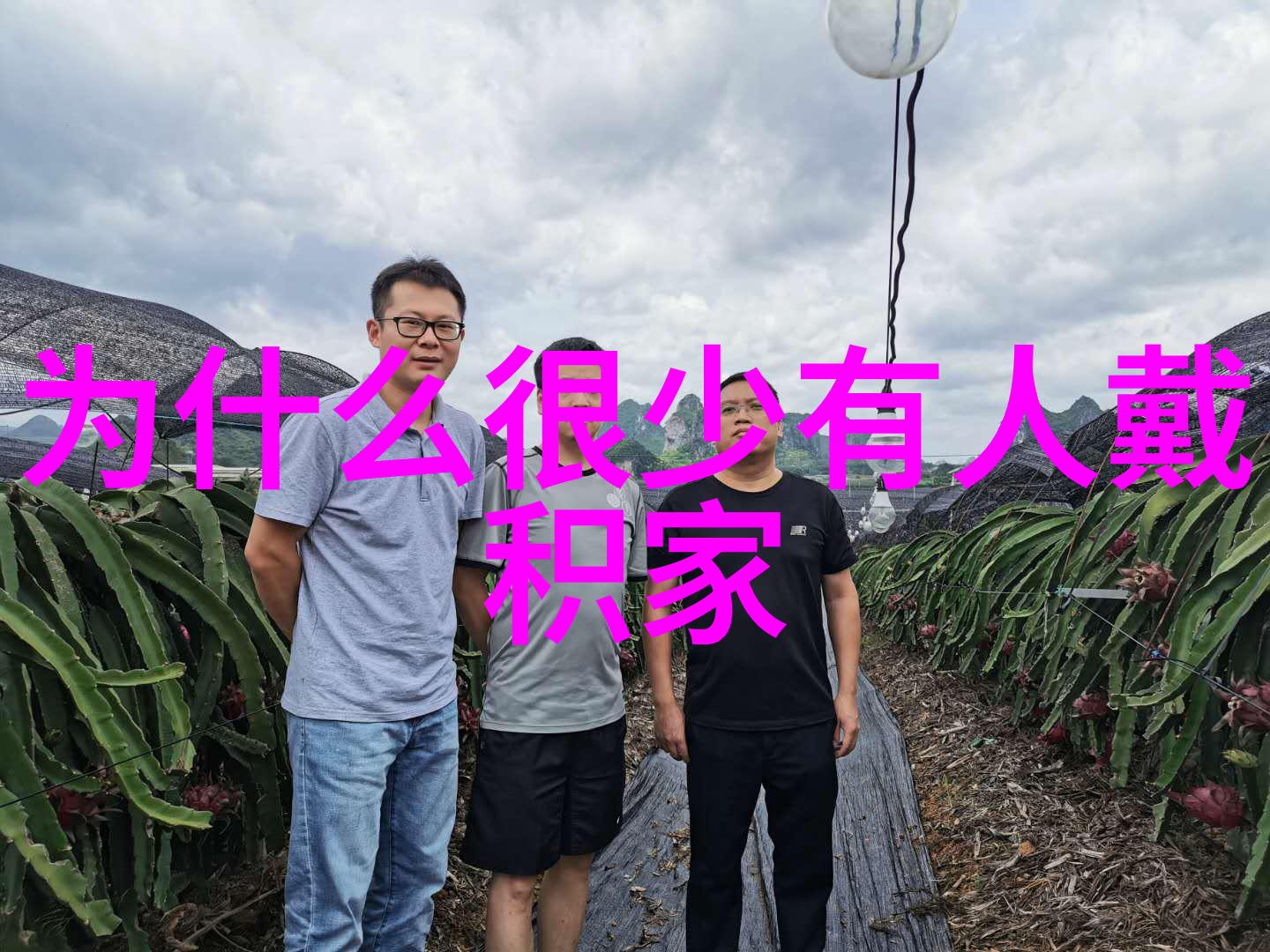 HRPB如何通过数据分析提升员工体验和绩效