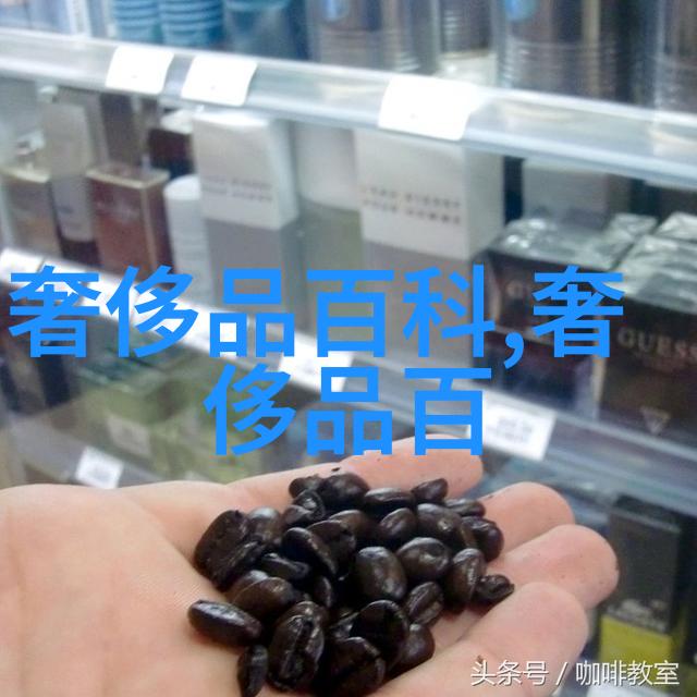 恍然如梦txt-幻境中的醒来探索TXT世界的迷离与真实