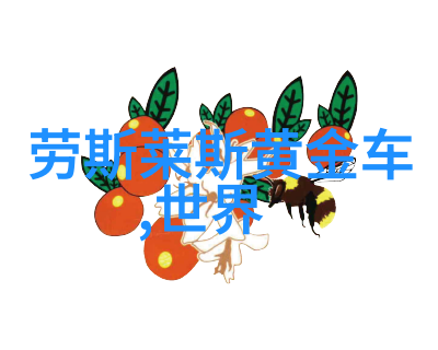 明星时尚穿搭指南女士版