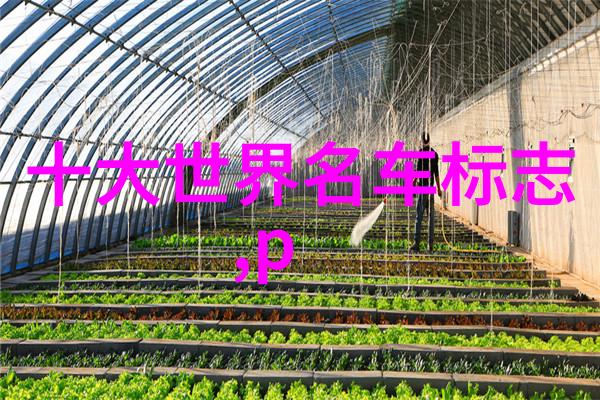 劳斯莱斯幻影7旋律魅影特别版