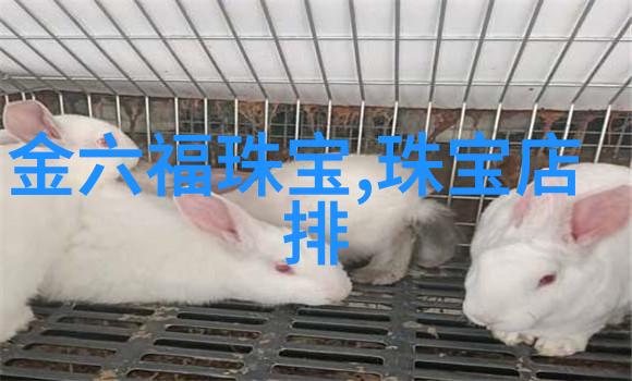 缓慢而有力的往里挺送的时尚潮流时尚界的新风向