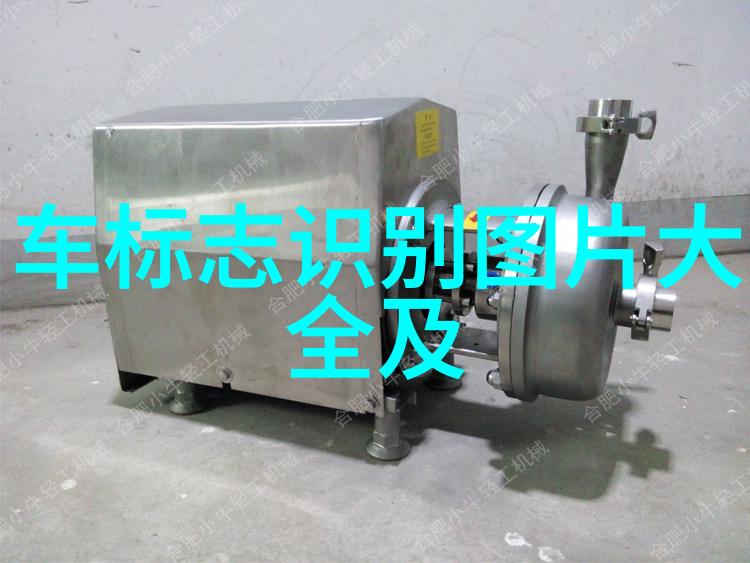 绣帘轻摇梦回门庭大婚晚辰全文免费阅读