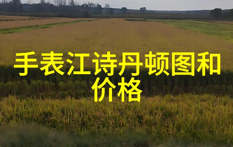 影院的魅力沉浸式体验与电影艺术的交响phony