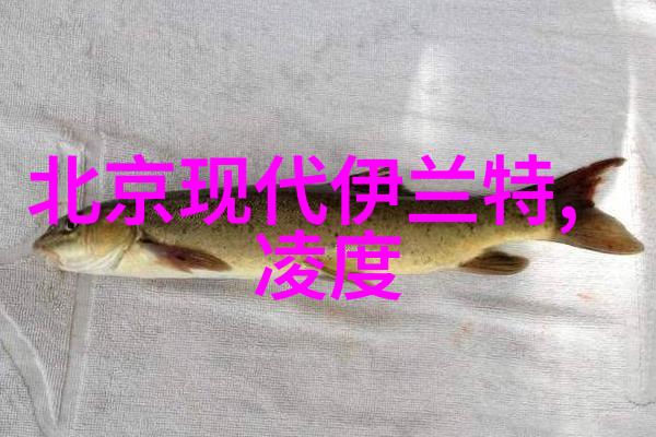 2021年免费版禁用软件APP大全全面防护系统