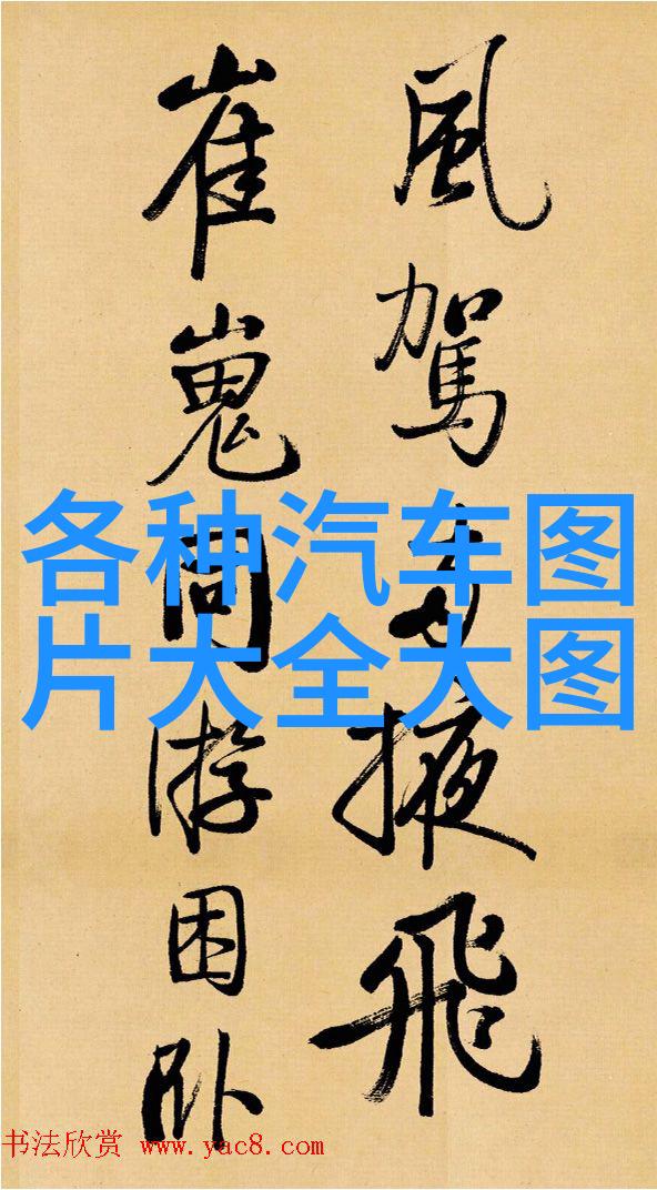 岁月静好50岁女士的秘密美发之谜