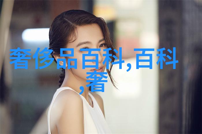 探索与确定他围绕那个核心点不懈努力的故事总结