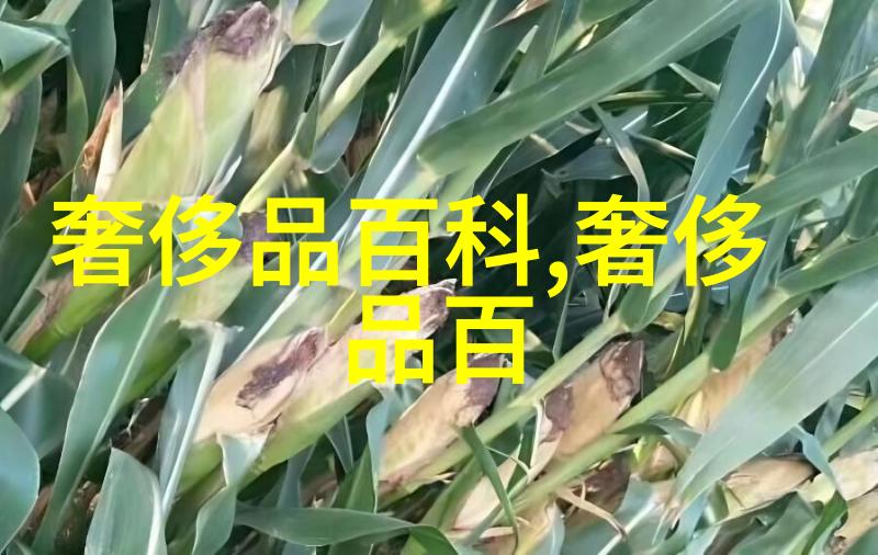 四人轮换C一人团队协作的艺术与成员转换