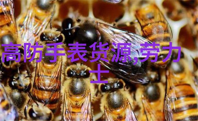 图片描述