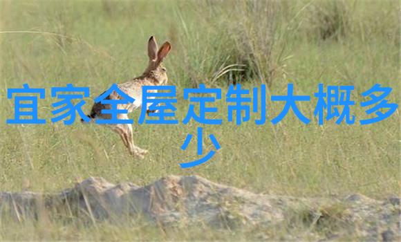 拆除暴力重塑和平的未来