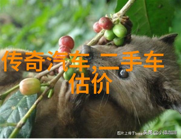 女士时尚流行发型我来给你盘点最新的爆款发色