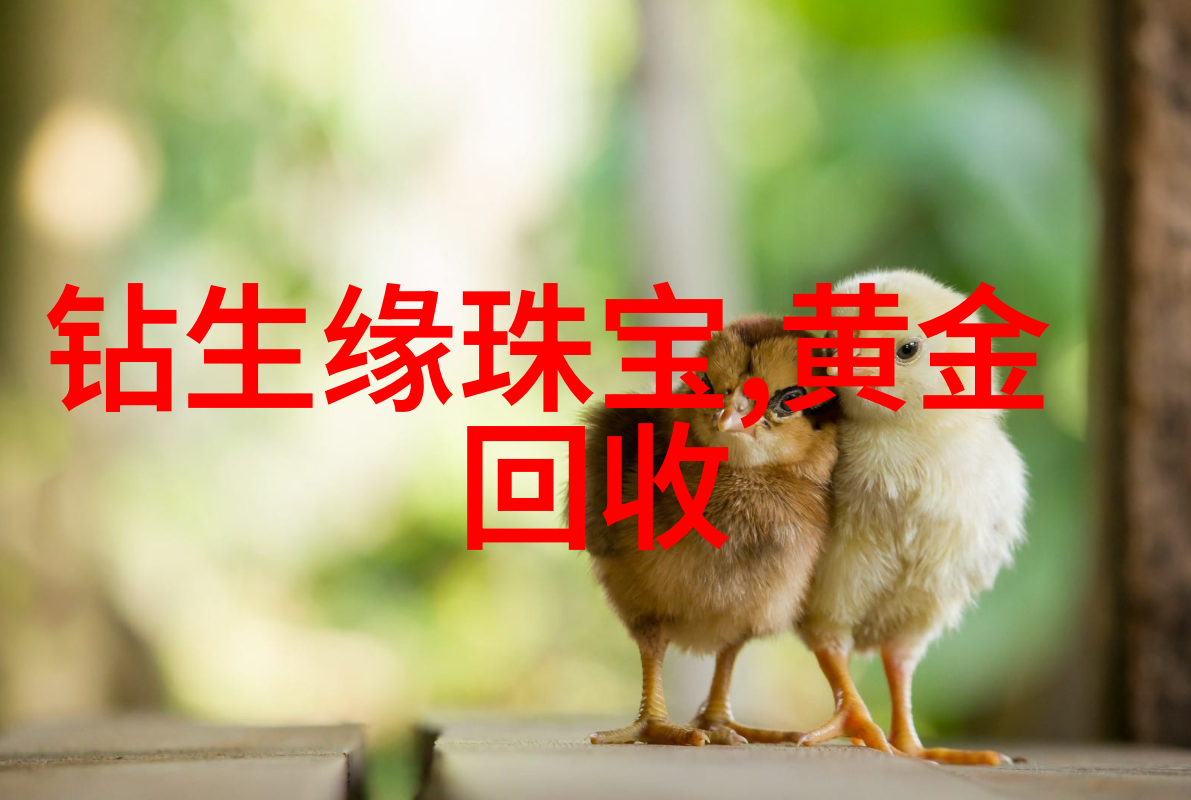 范思哲时尚女装腕表新品