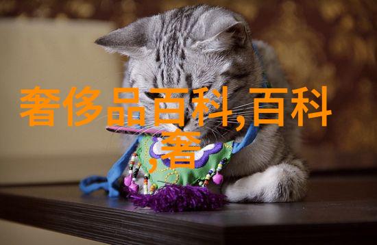 美发课程教学教案如何让学员的头发也能闪耀