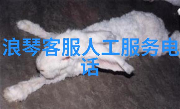 家居生活馆图片窗外的延伸梦想设计师不懈追求