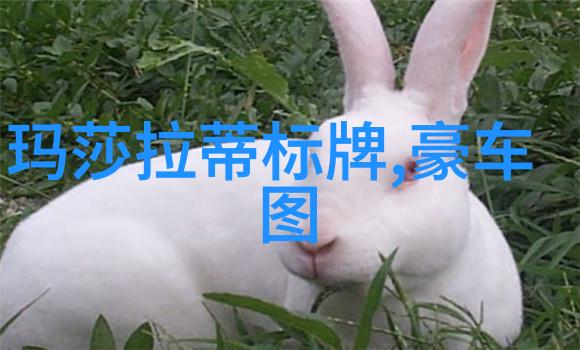 绽放的梦想百合之声在香水的舞台上