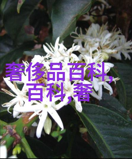 男士时尚新潮短发造型的男人魅力探秘