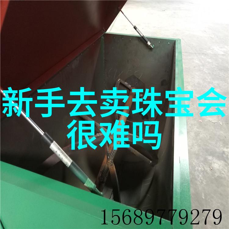 小王子的星辰之旅一个关于梦想与孤独的txt故事