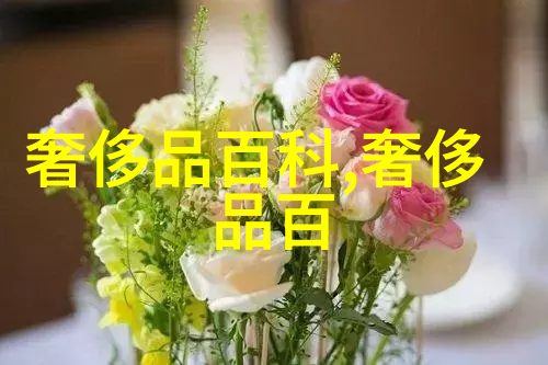 动漫女生禁处探秘揭开文化象征背后的故事