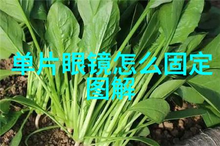 蘑菇观影菌界电影评论