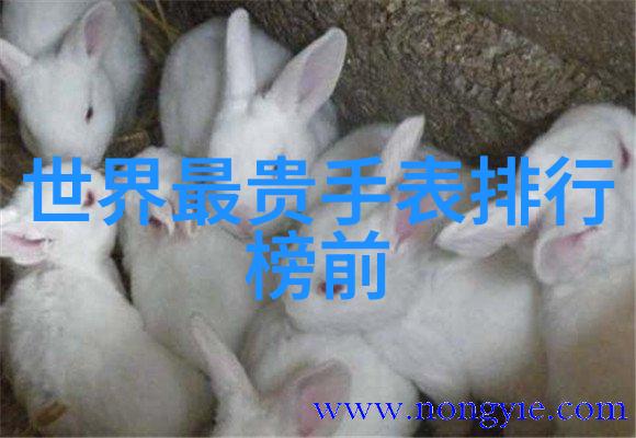 短发发型女 - 魅力重现短发女孩的时尚探索