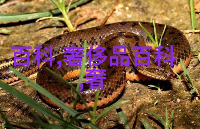 生肖尽头的荒唐暴殄天物的末日