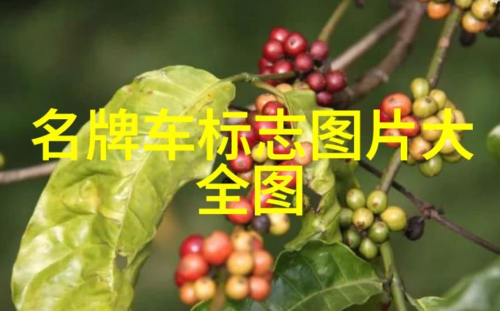 影子里的家一个被遗忘的生活
