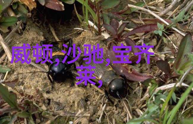 短发日记如何让你的短发更有吸引力