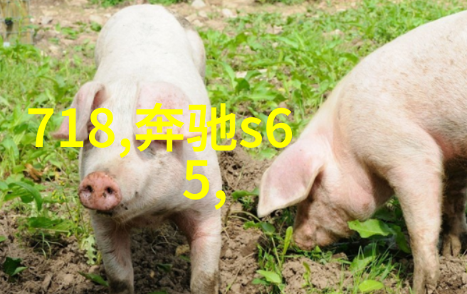 秘密的代码揭开啊看着我是怎么C你的背后的数字谜团