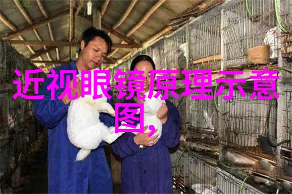 理发技巧-从头到尾理发的正确开始之法