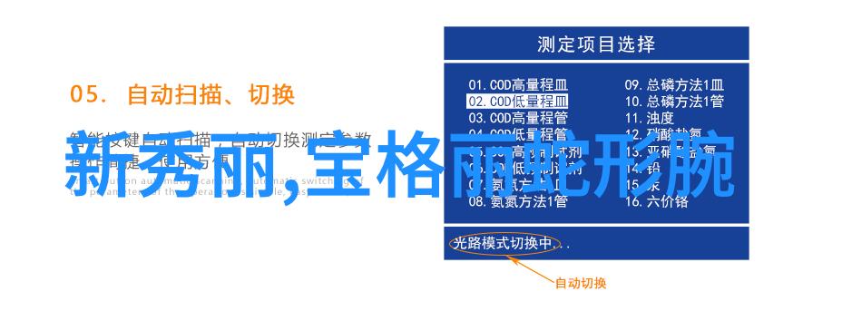 寒光剑影穿越古代的剑杀传奇