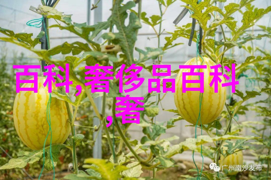 如何看待个人隐私保护问题在2199年