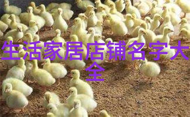 绚烂的梦想法国娇兰的诗意回声