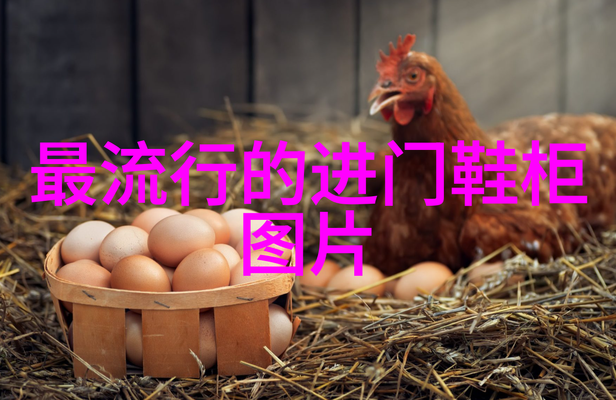 驾入香氛coco香水点缀私密空间的迷人魅力