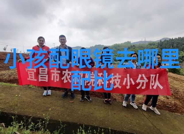 慢速撞击汽车碰撞的节奏与力度
