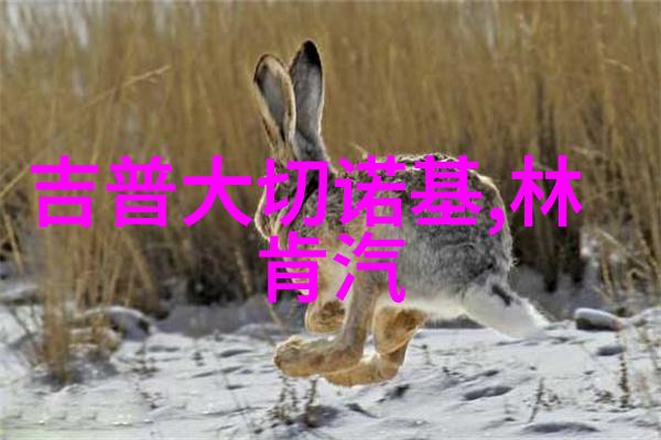 了解更多关于张嘉译的个人生活与职业发展历程