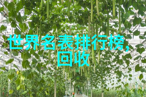 穿越之谜咸鱼背后的反派家族