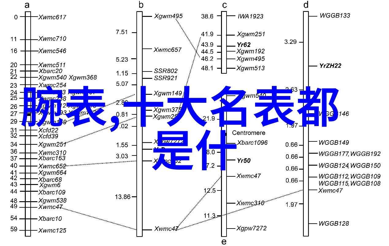 生活点滴我妈的那只女士钱包故事它也有