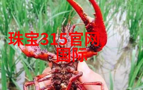 探索培罗蒙未来的智慧之城与人工智能的融合